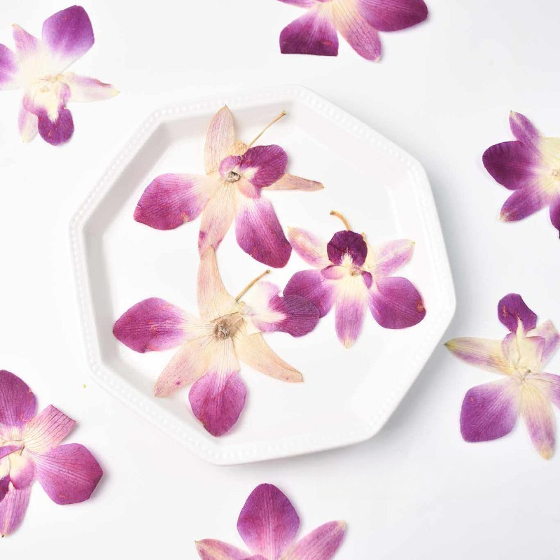 Resin Art Photo Frame - 4pcs,Real Pressed Butterfly Orchid Flowers DIY
