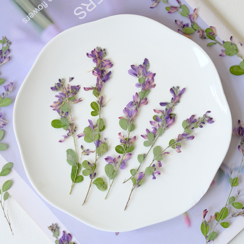 6pcs,nature Lespedeza Formosa  - Resin Art Photo Frame review and price