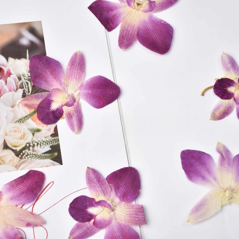 4pcs,Real Pressed Butterfly Or - Resin Art Photo Frame review and price