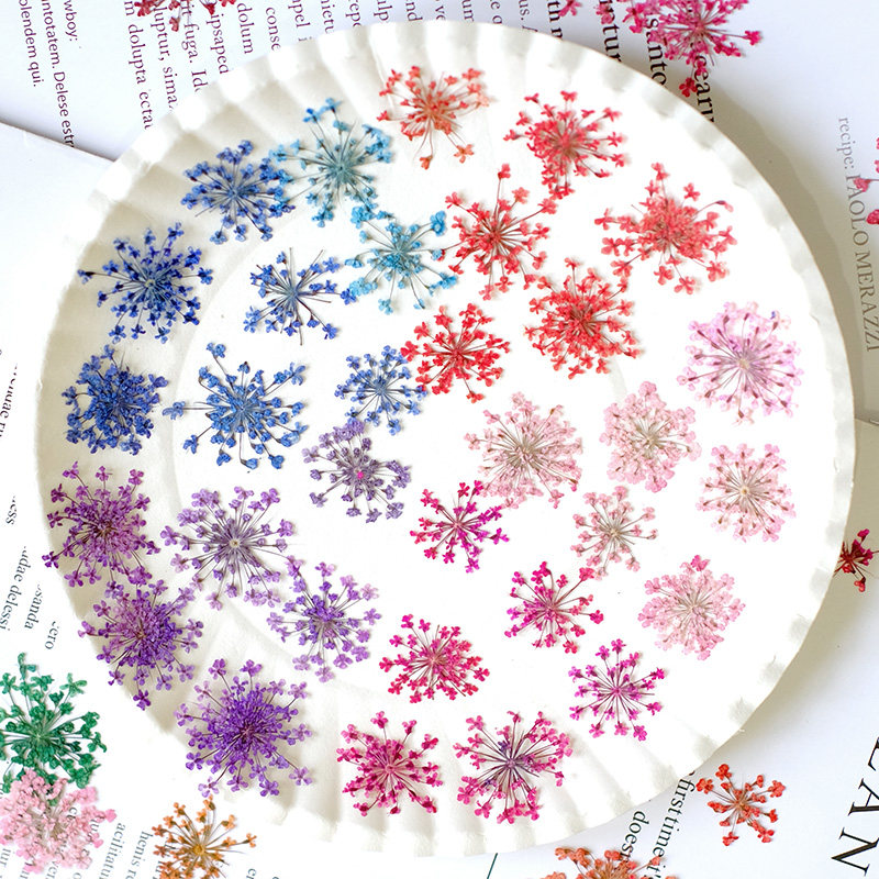 24pcs, 2-2.5cm, Nature Dyed Mi - Resin Art Photo Frame review and price