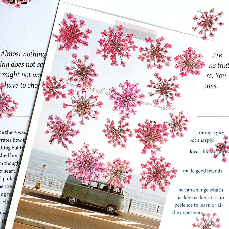 24pcs, 2-2.5cm, Nature Dyed Mi - Resin Art Photo Frame review and price