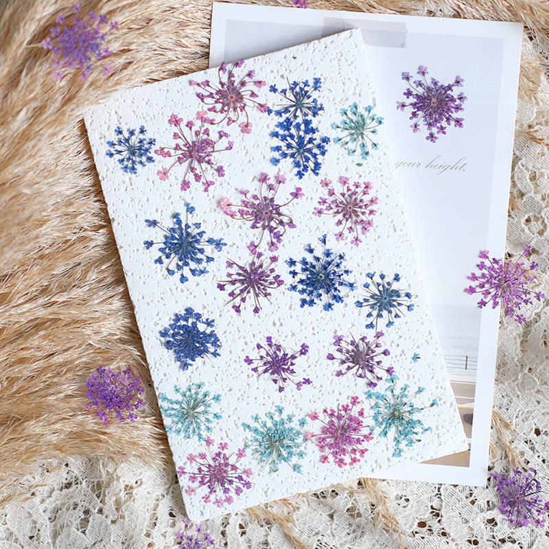 24pcs, 2-2.5cm, Nature Dyed Mi - Resin Art Photo Frame review and price